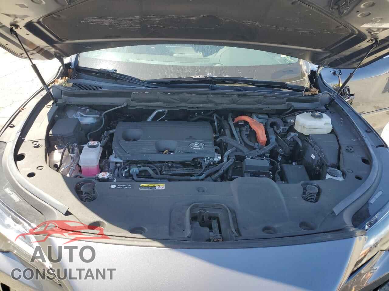 LEXUS RX 350H BA 2023 - 2T2BBMCA5PC002482