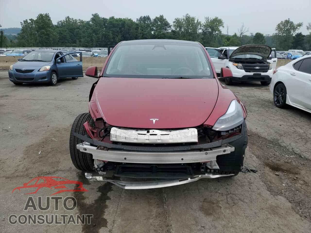 TESLA MODEL Y 2024 - 7SAYGDEEXRA276128