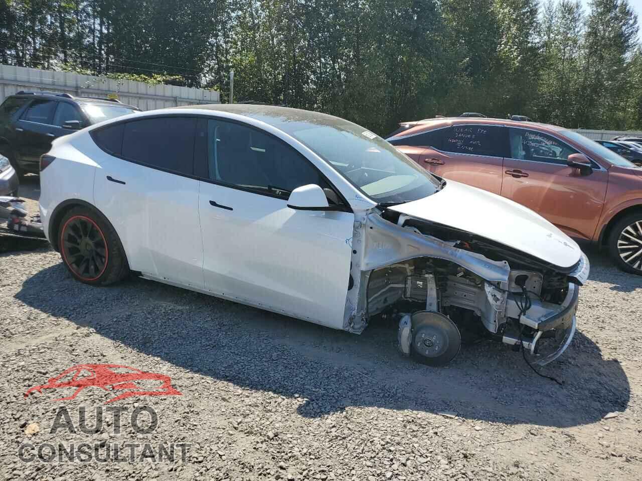TESLA MODEL Y 2024 - 7SAYGDEE0RF044656