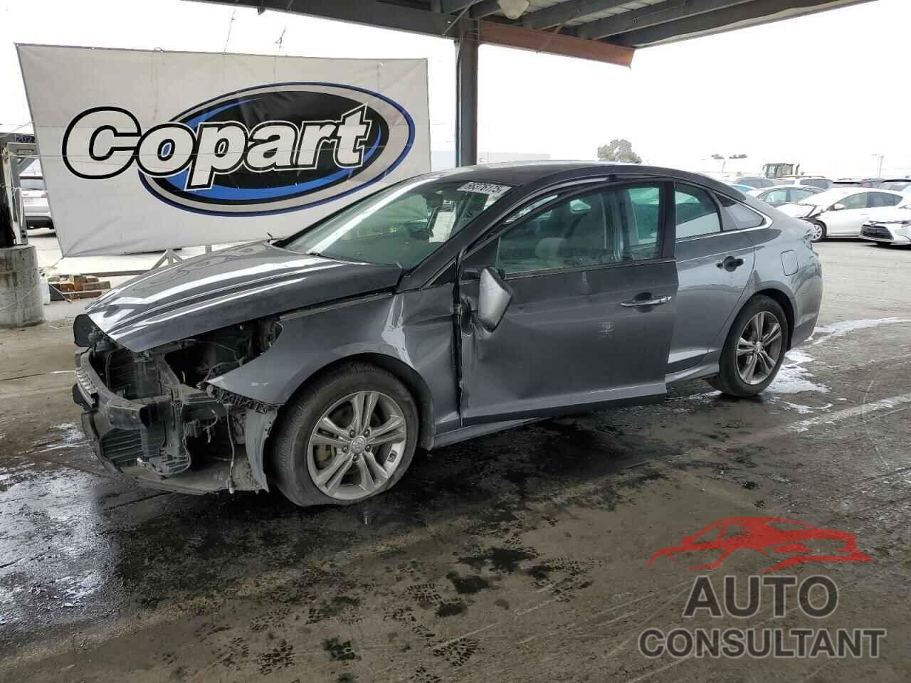 HYUNDAI SONATA 2019 - 5NPE34AF5KH768053
