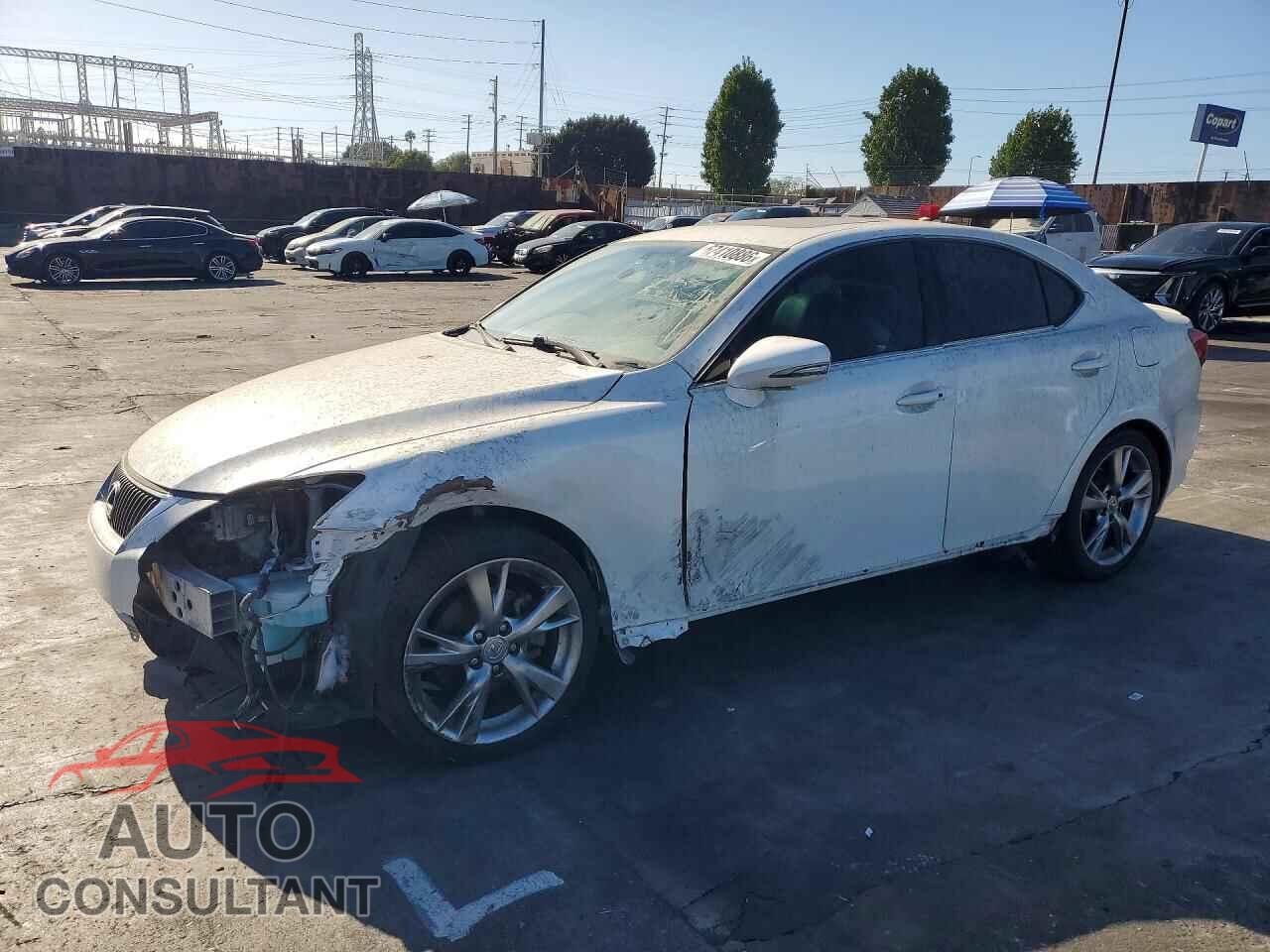 LEXUS IS 2009 - JTHBK262X95105327