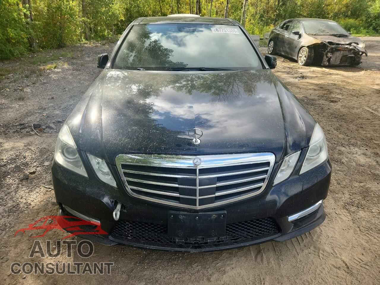 MERCEDES-BENZ E-CLASS 2012 - WDDHF9BB9CA560480