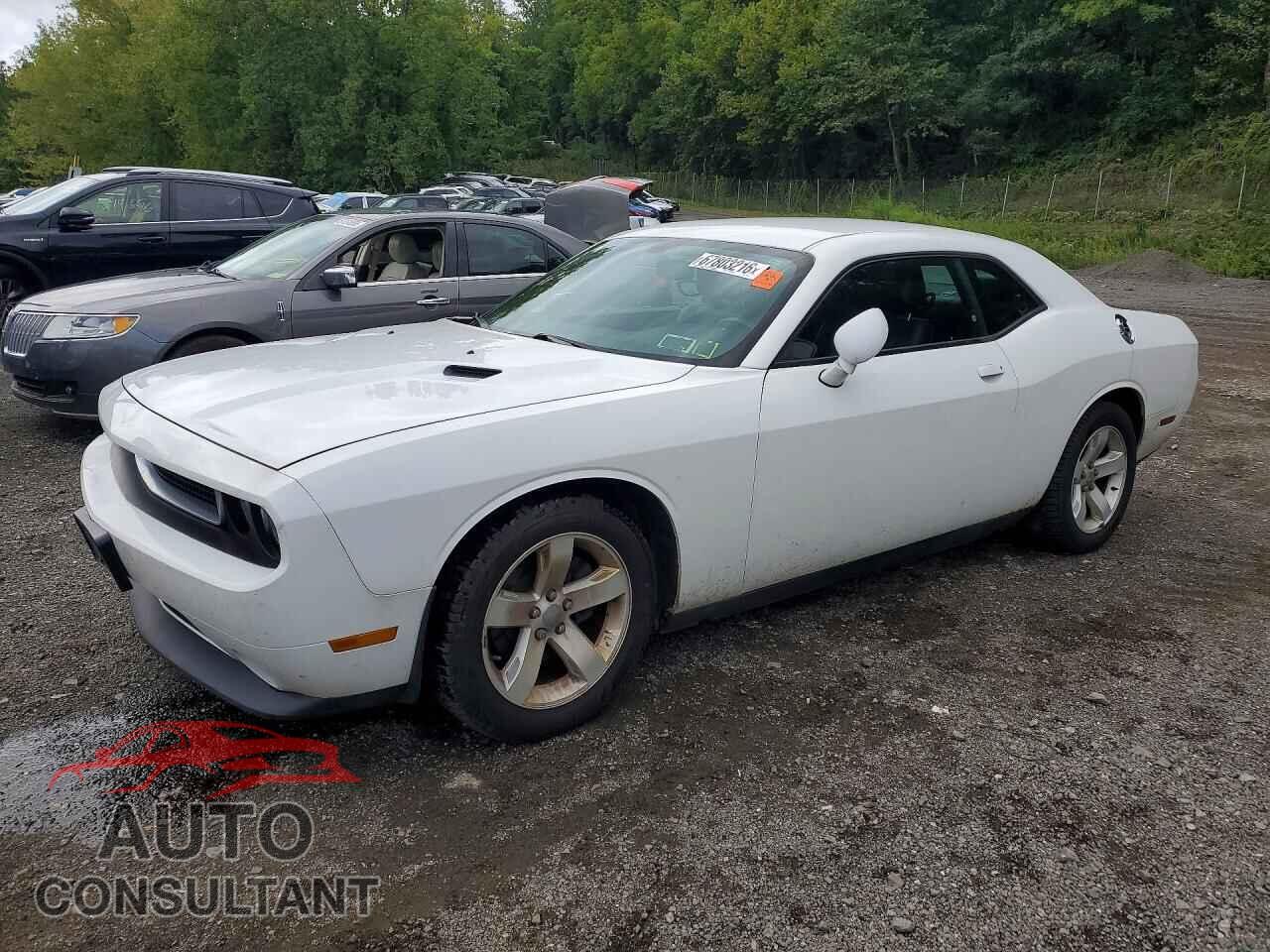 DODGE CHALLENGER 2013 - 2C3CDYAG8DH741661