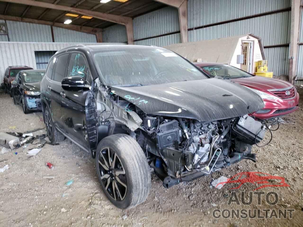 HONDA PILOT 2019 - 5FNYF5H65KB010079