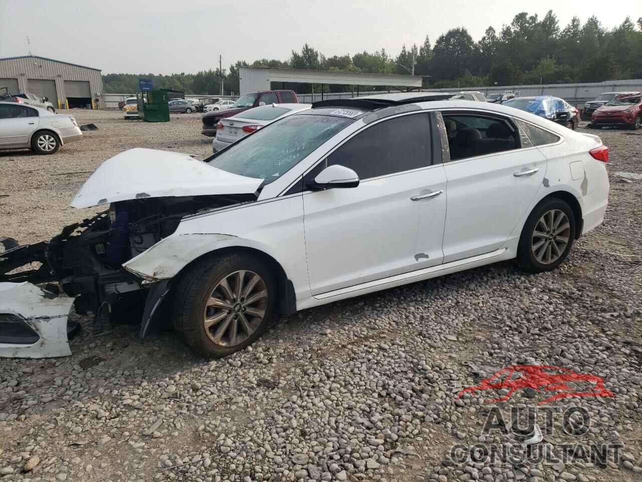 HYUNDAI SONATA 2016 - 5NPE34AF9GH381643