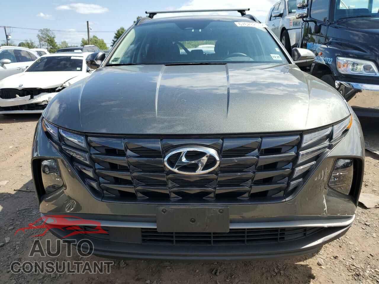 HYUNDAI TUCSON 2023 - 5NMJBCAE2PH206070