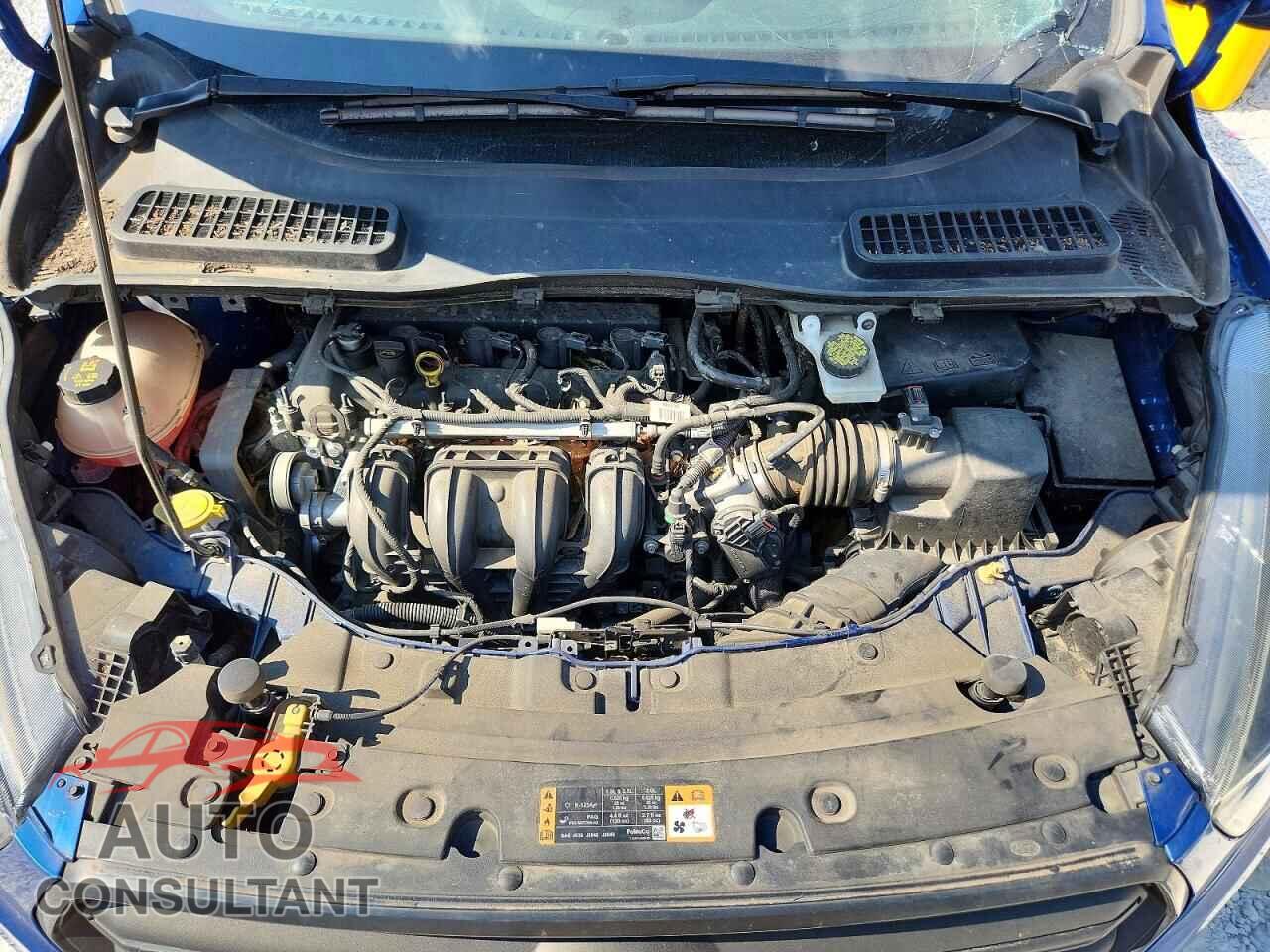 FORD ESCAPE 2019 - 1FMCU0F79KUC49488