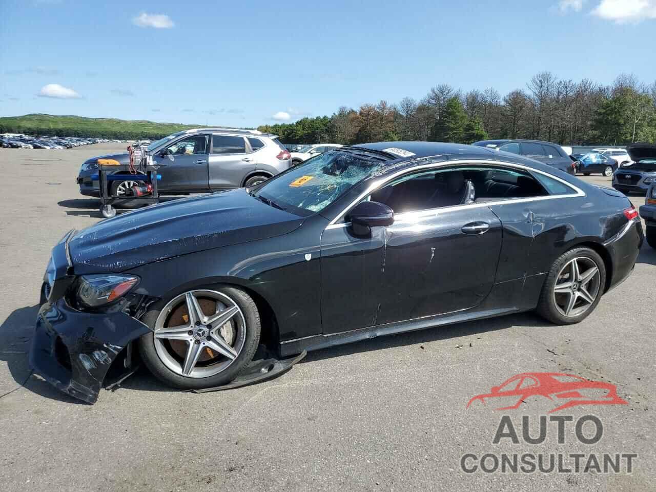 MERCEDES-BENZ E-CLASS 2019 - WDD1J6JB8KF078424