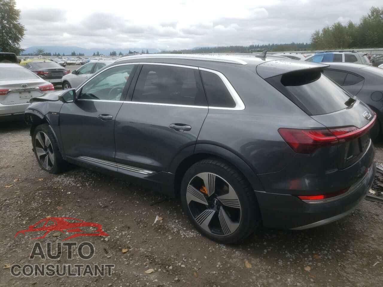 AUDI E-TRON 2019 - WA1VAAGE2KB006376