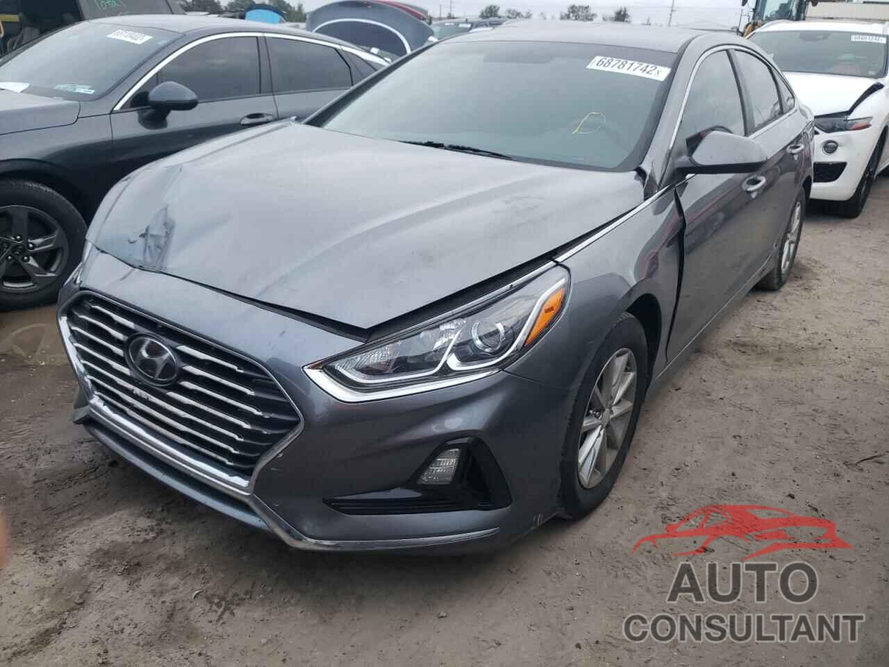 HYUNDAI SONATA 2019 - 5NPE24AF9KH803504