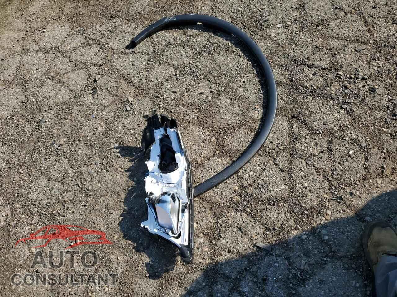 DODGE DURANGO 2025 - 1C4RDJDG4SC546889