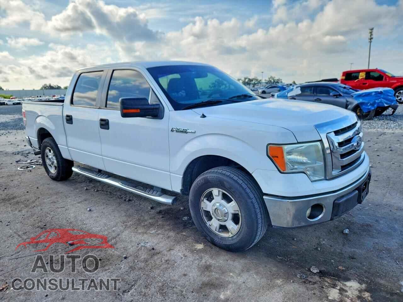 FORD F150 2011 - 1FTFW1CF8BFD36784