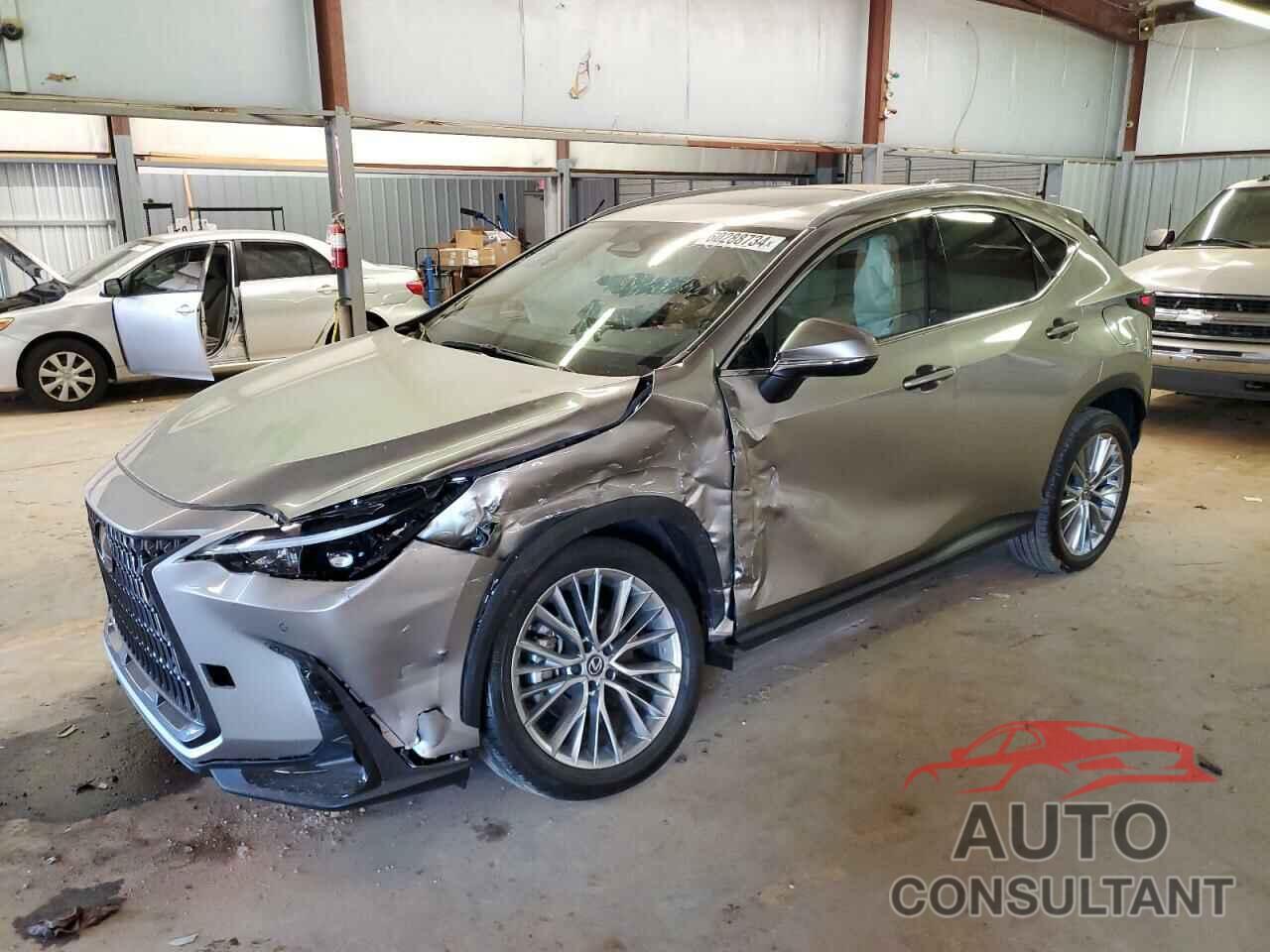 LEXUS NX 350H 2023 - 2T2GKCEZ2PC013006