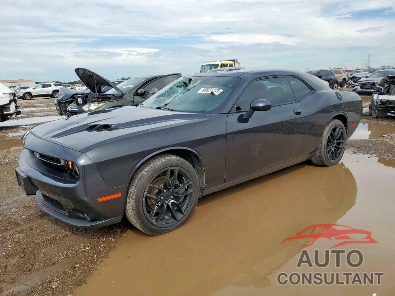 DODGE CHALLENGER 2019 - 2C3CDZAG2KH701725