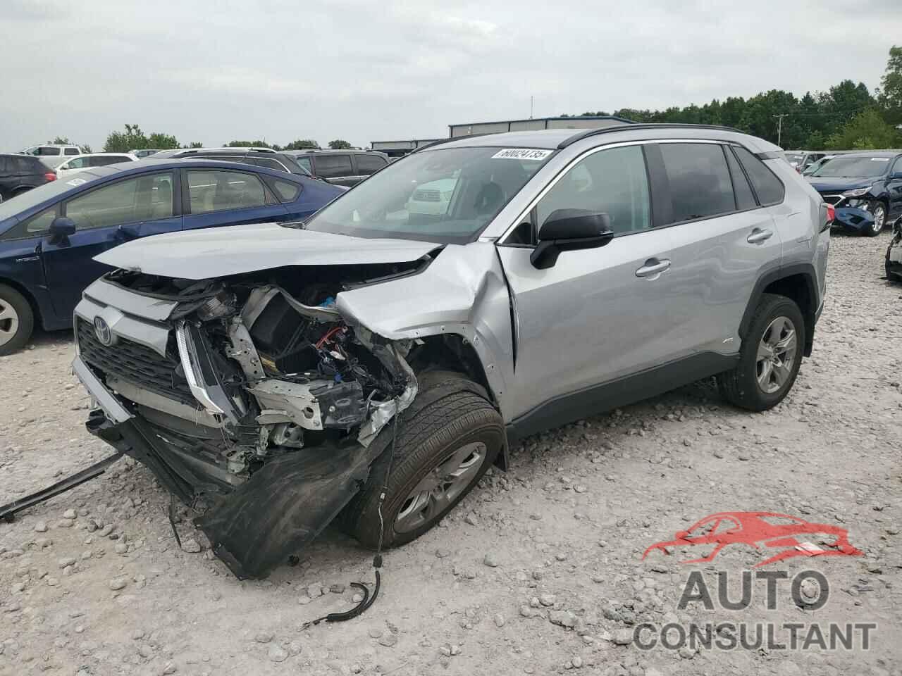 TOYOTA RAV4 2024 - 4T3LWRFV4RU146476