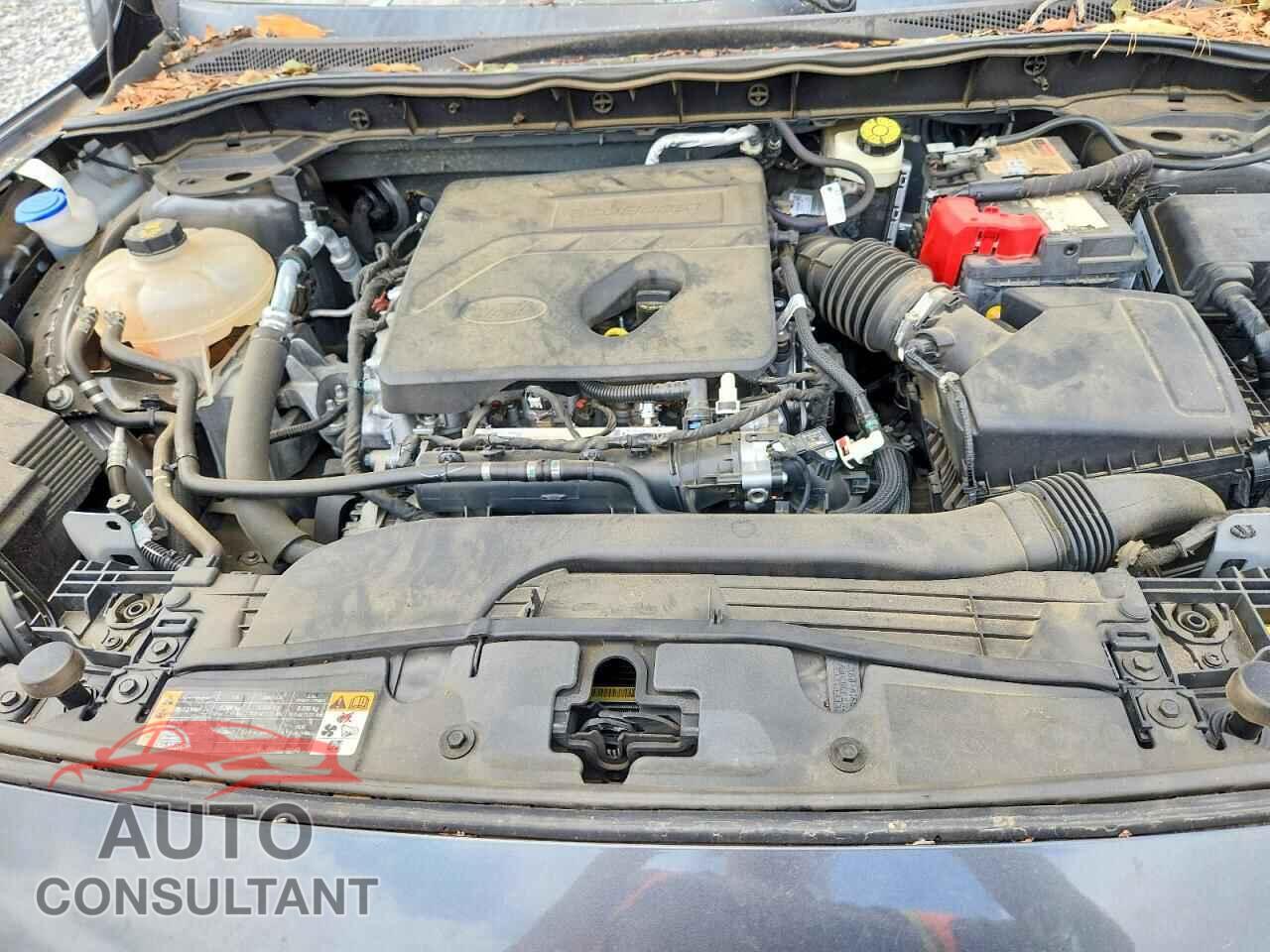 FORD ESCAPE 2020 - 1FMCU0G6XLUA22429