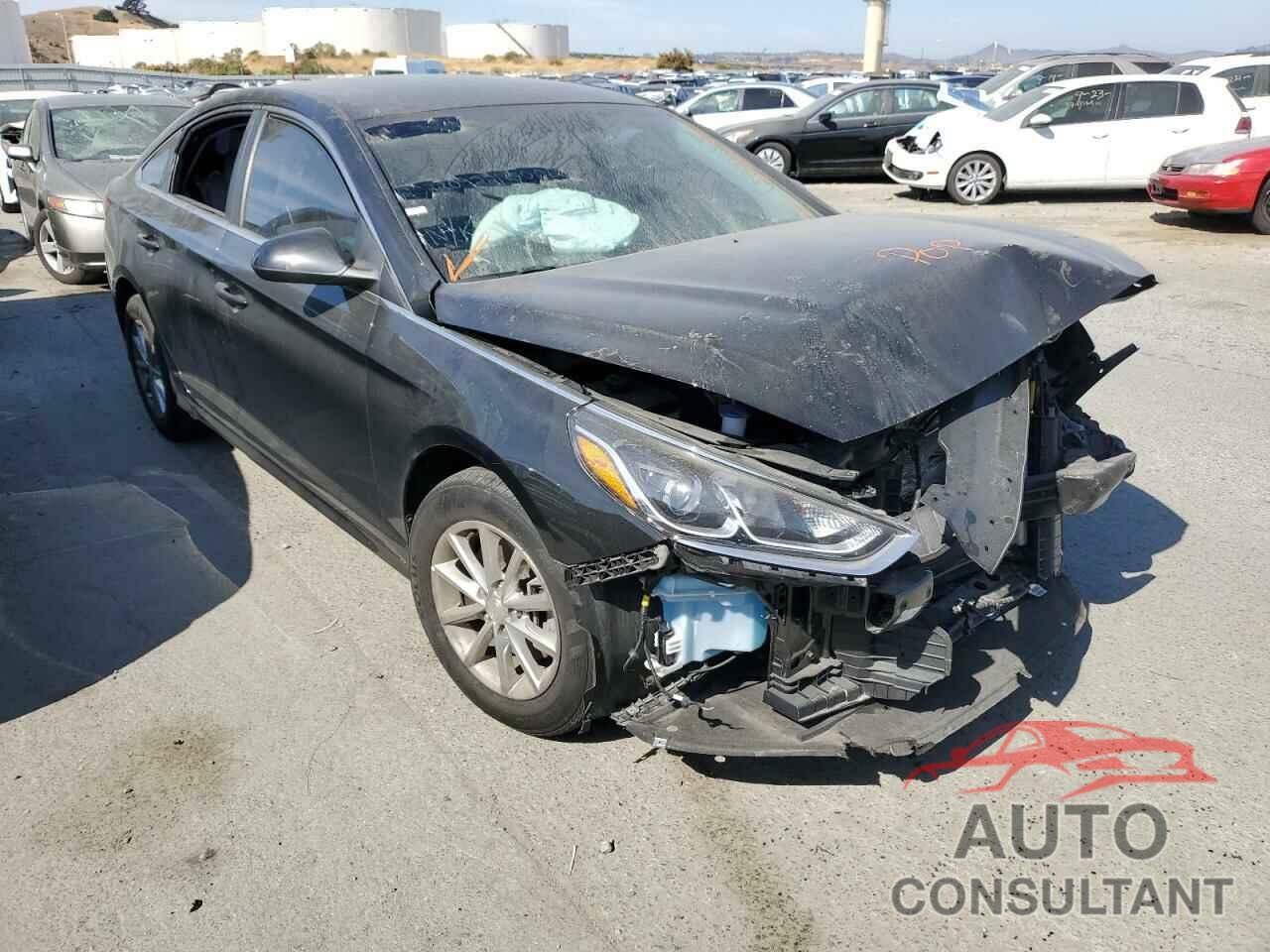 HYUNDAI SONATA 2018 - 5NPE24AF6JH629406