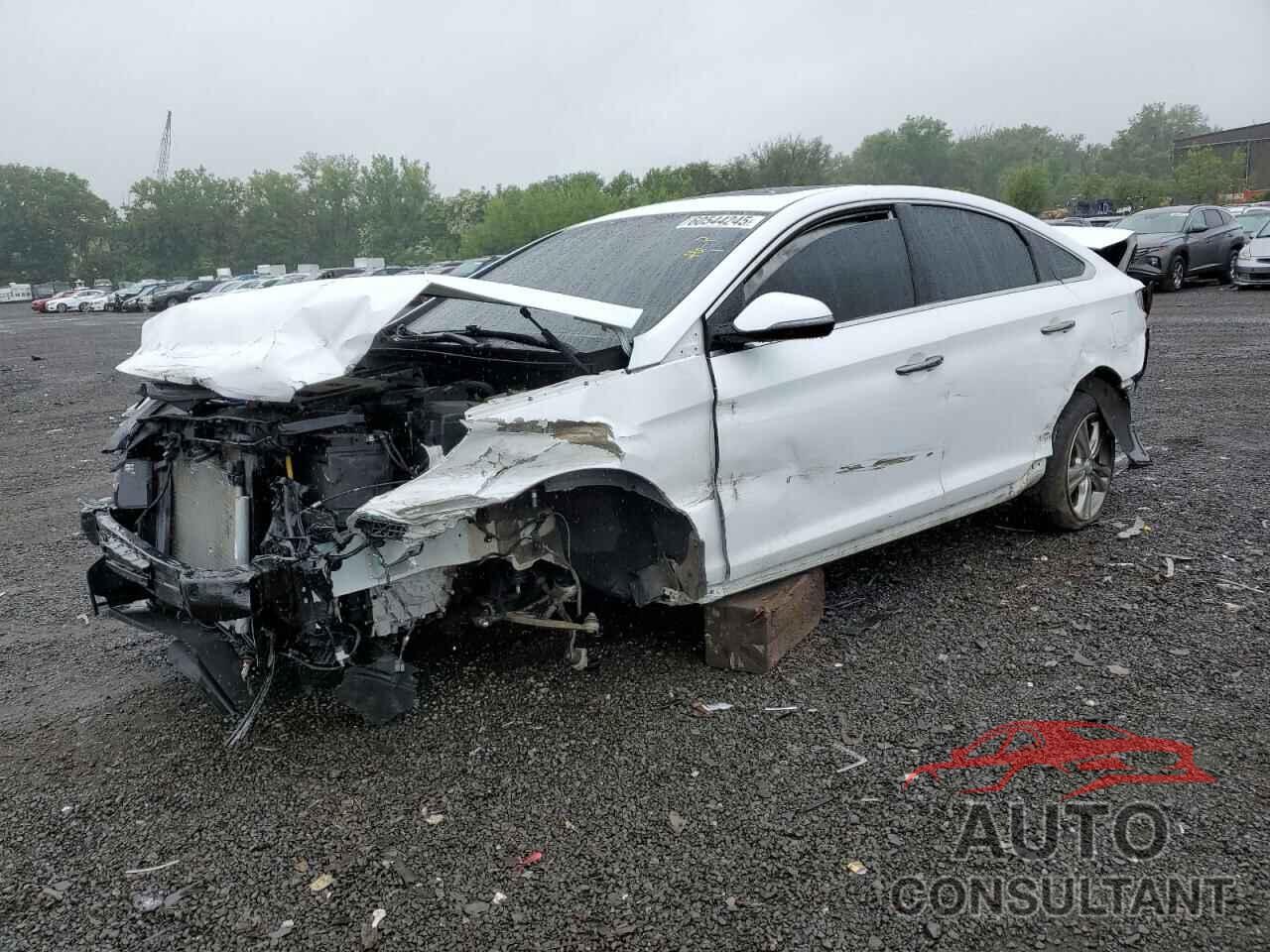 HYUNDAI SONATA 2019 - 5NPE34AF1KH747023