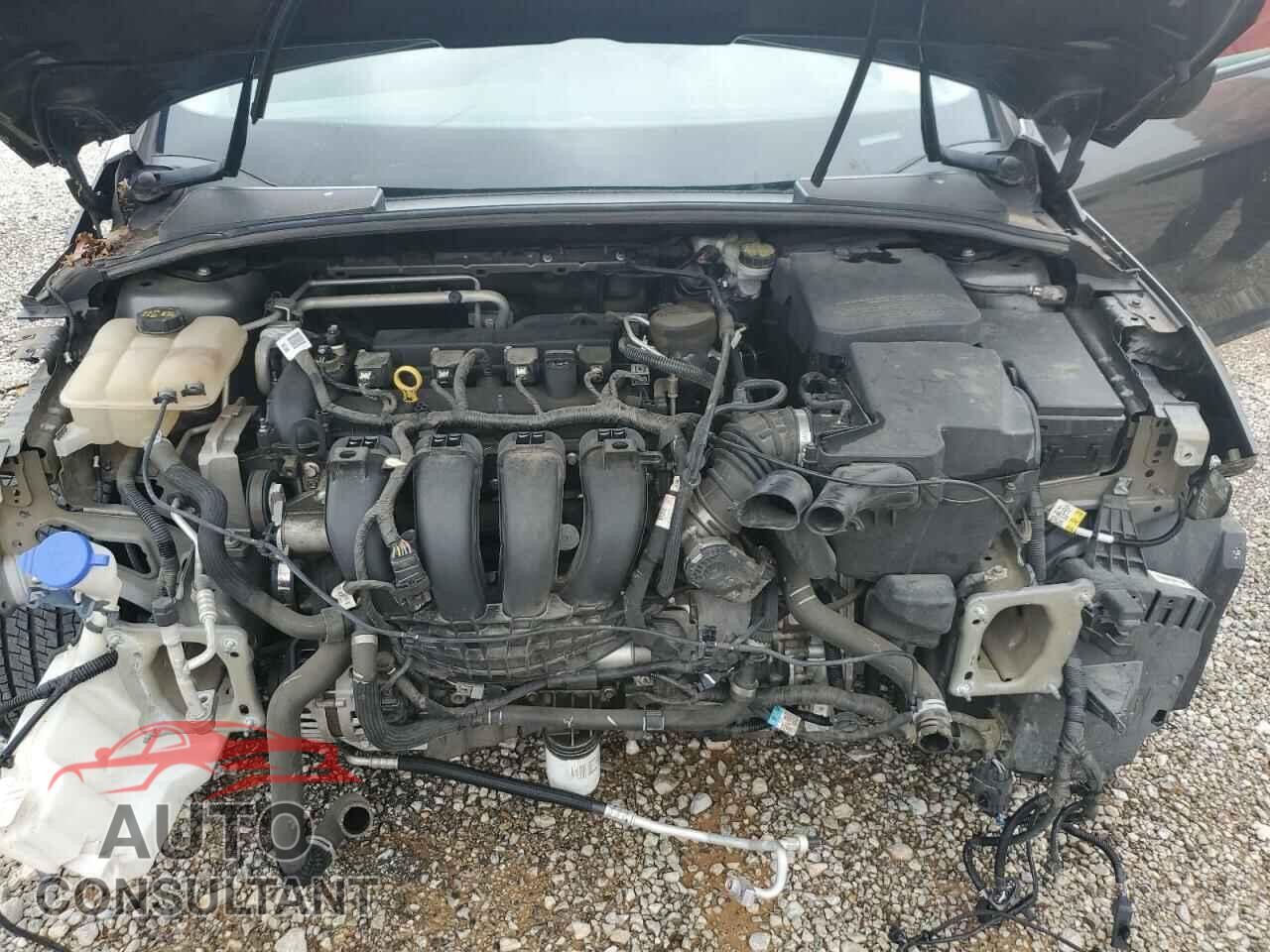 FORD FOCUS 2015 - 1FADP3E29FL381868