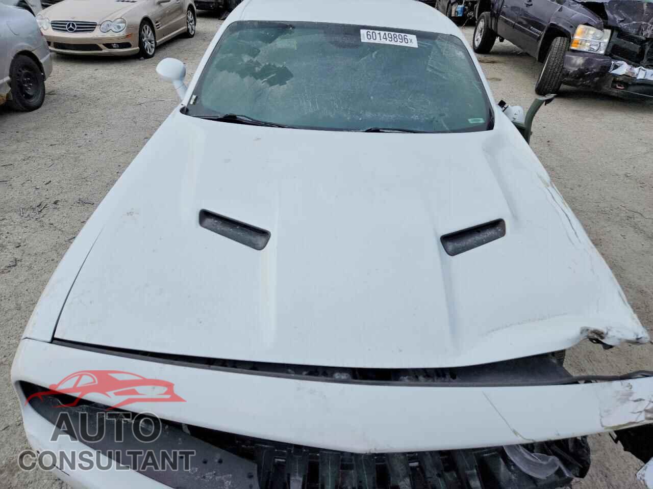DODGE CHALLENGER 2019 - 2C3CDZAG7KH677373