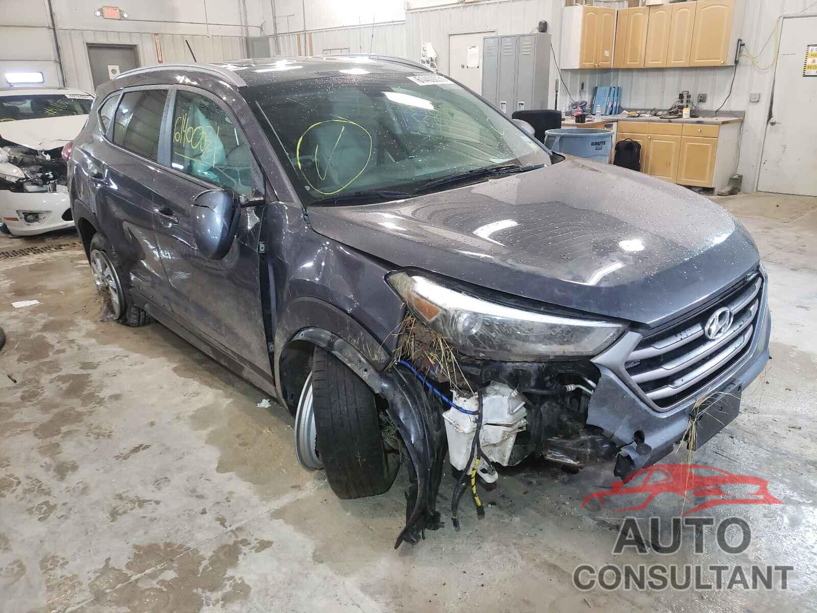 HYUNDAI TUCSON 2016 - KM8J33A47GU128250