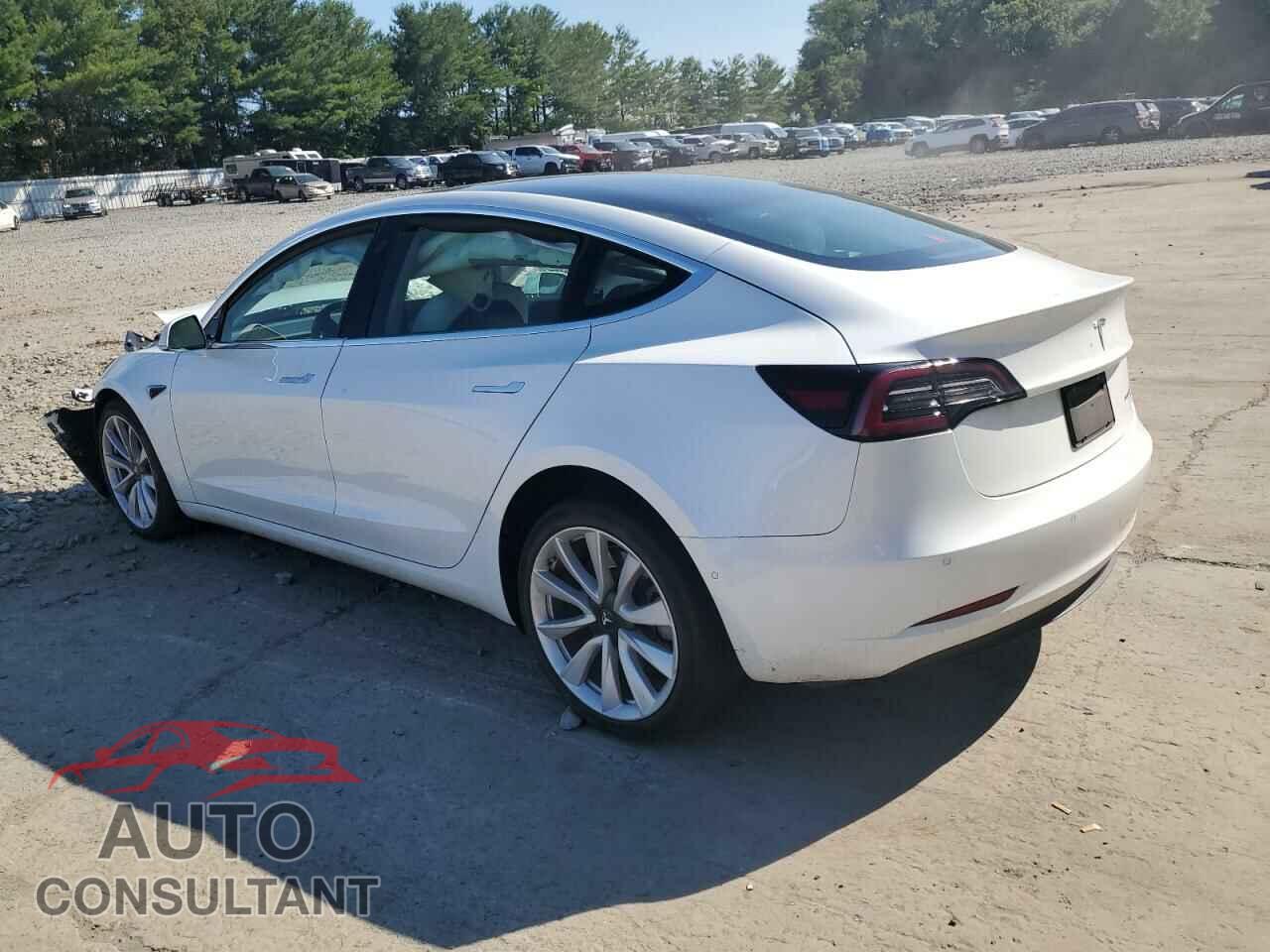 TESLA MODEL 3 2019 - 5YJ3E1EB8KF195509
