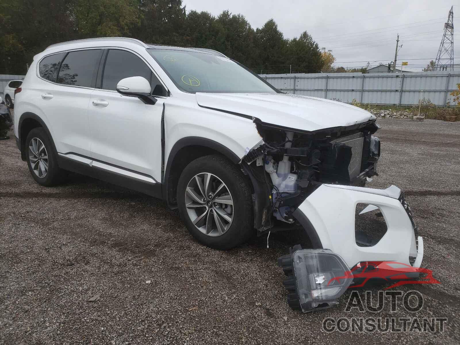 HYUNDAI SANTA FE 2020 - 5NMS3CAD8LH242140