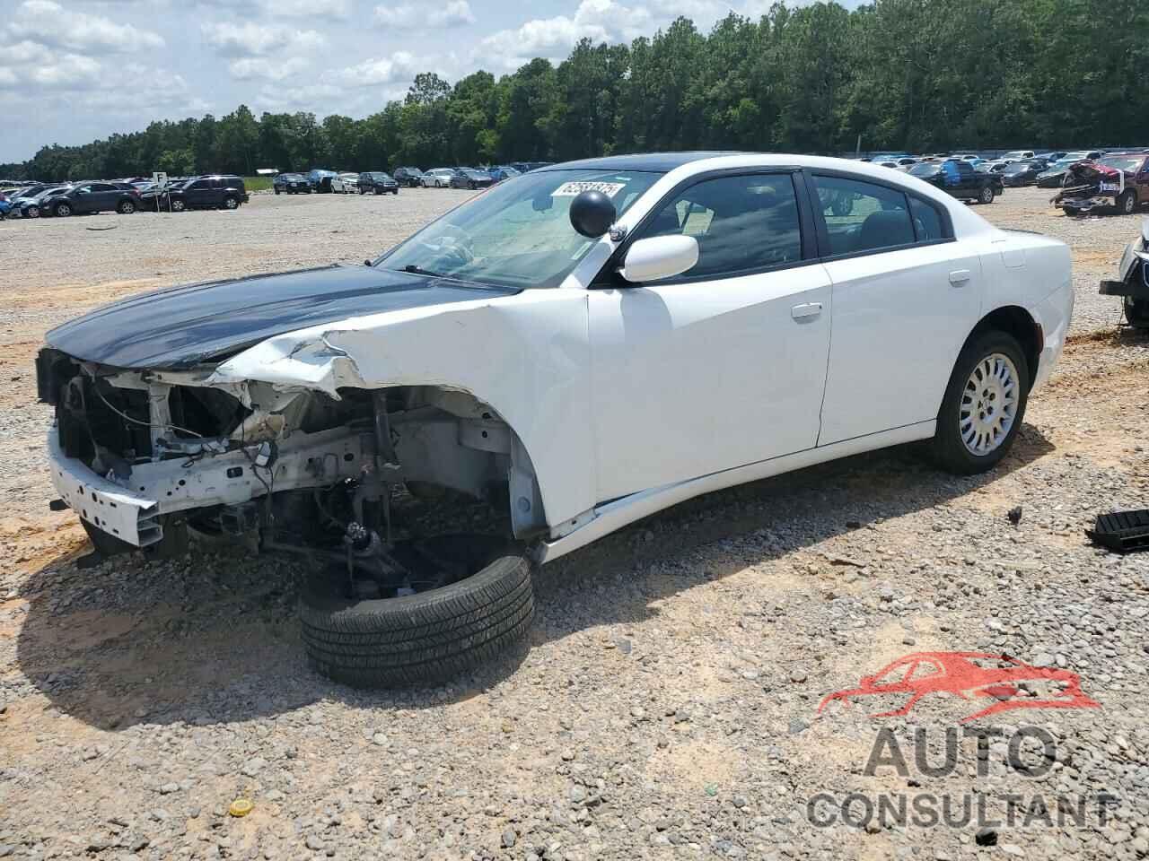 DODGE CHARGER 2019 - 2C3CDXKT5KH582035