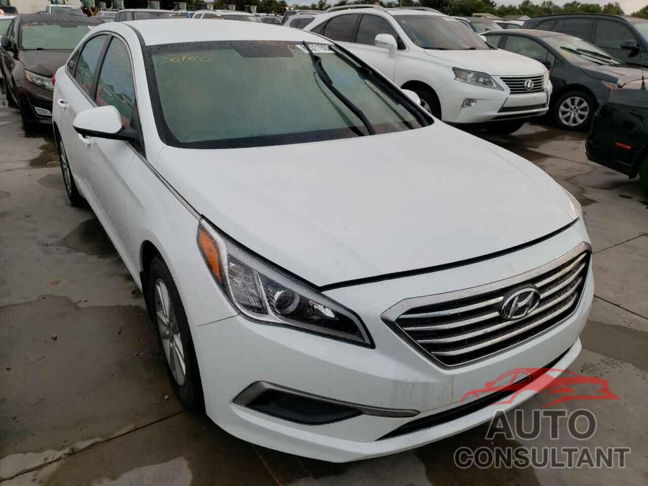 HYUNDAI SONATA 2016 - 5NPE24AF6GH418425