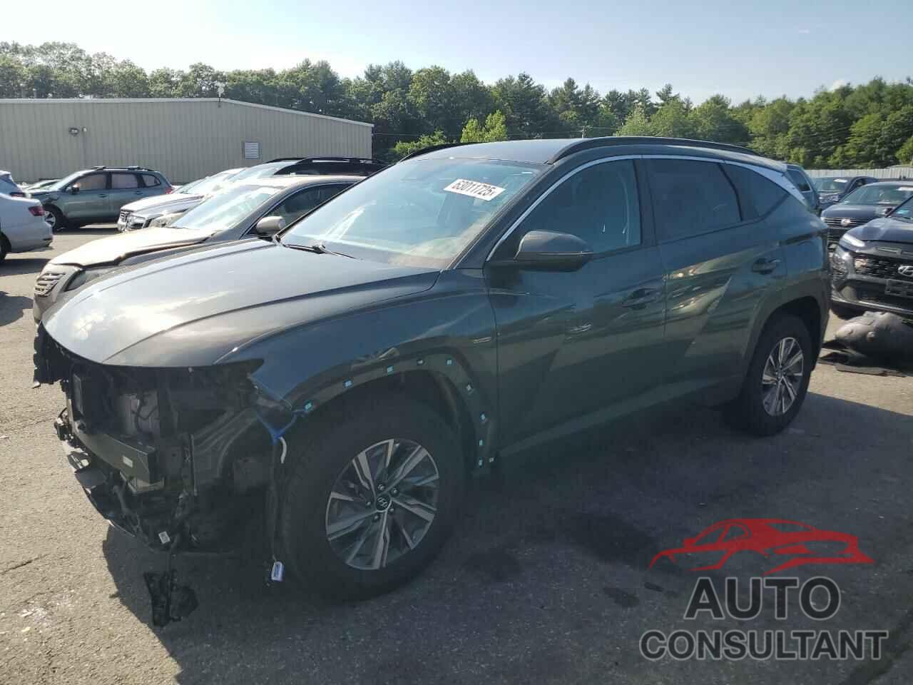HYUNDAI TUCSON 2022 - KM8JBCA19NU052939