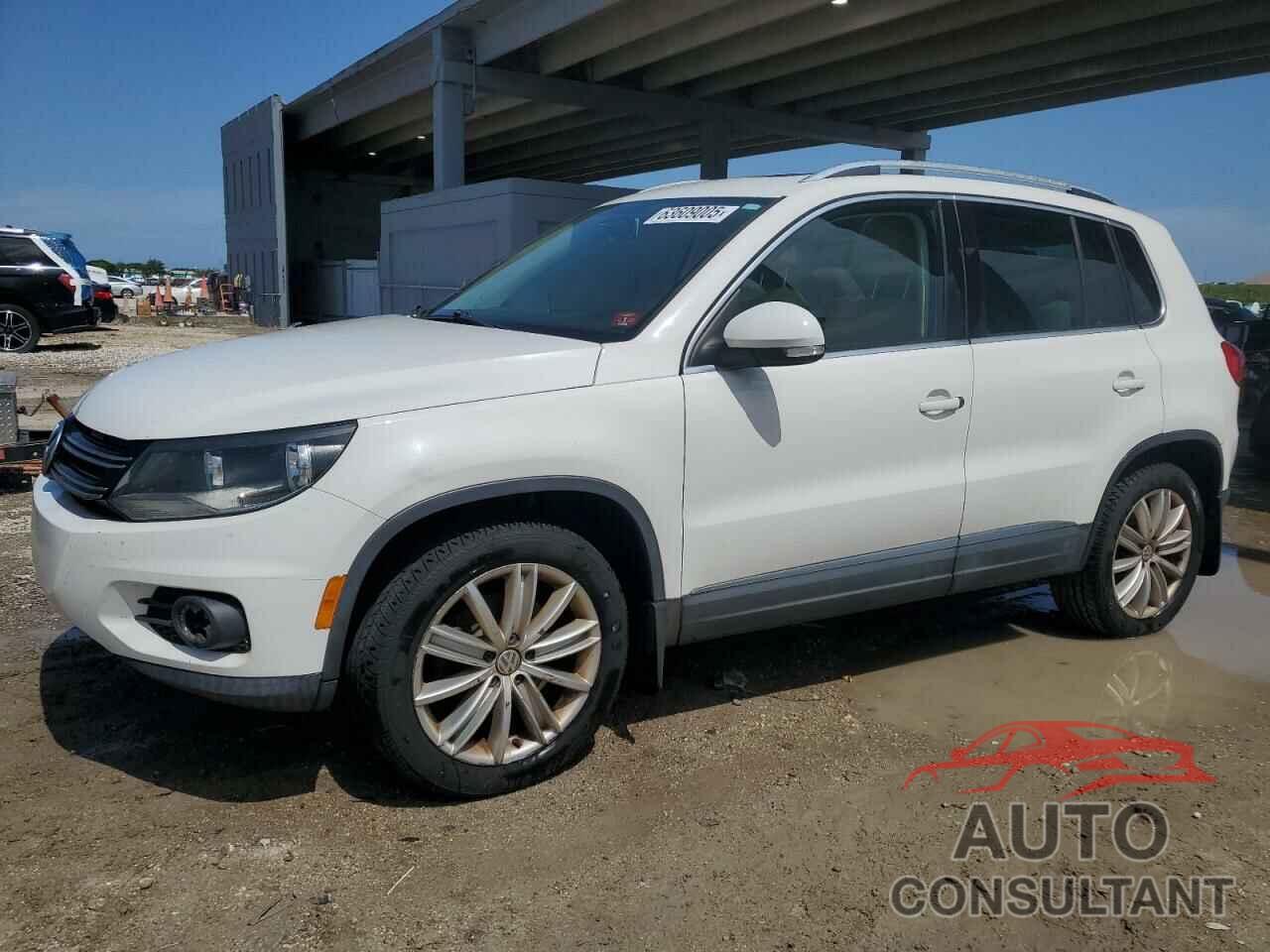 VOLKSWAGEN TIGUAN 2013 - WVGBV3AXXDW071079