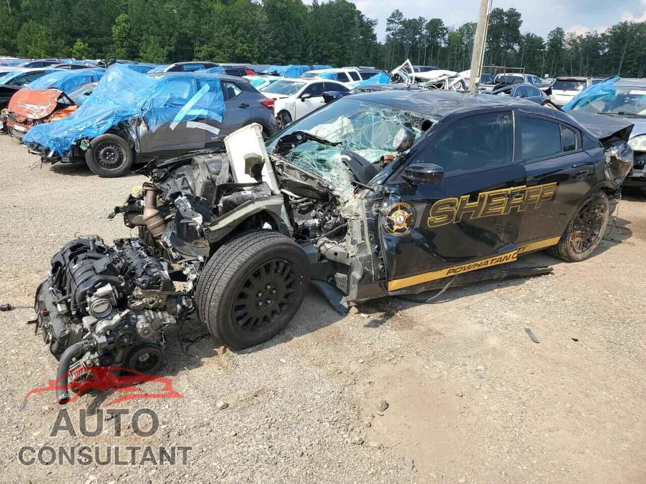 DODGE CHARGER 2019 - 2C3CDXKTXKH736271
