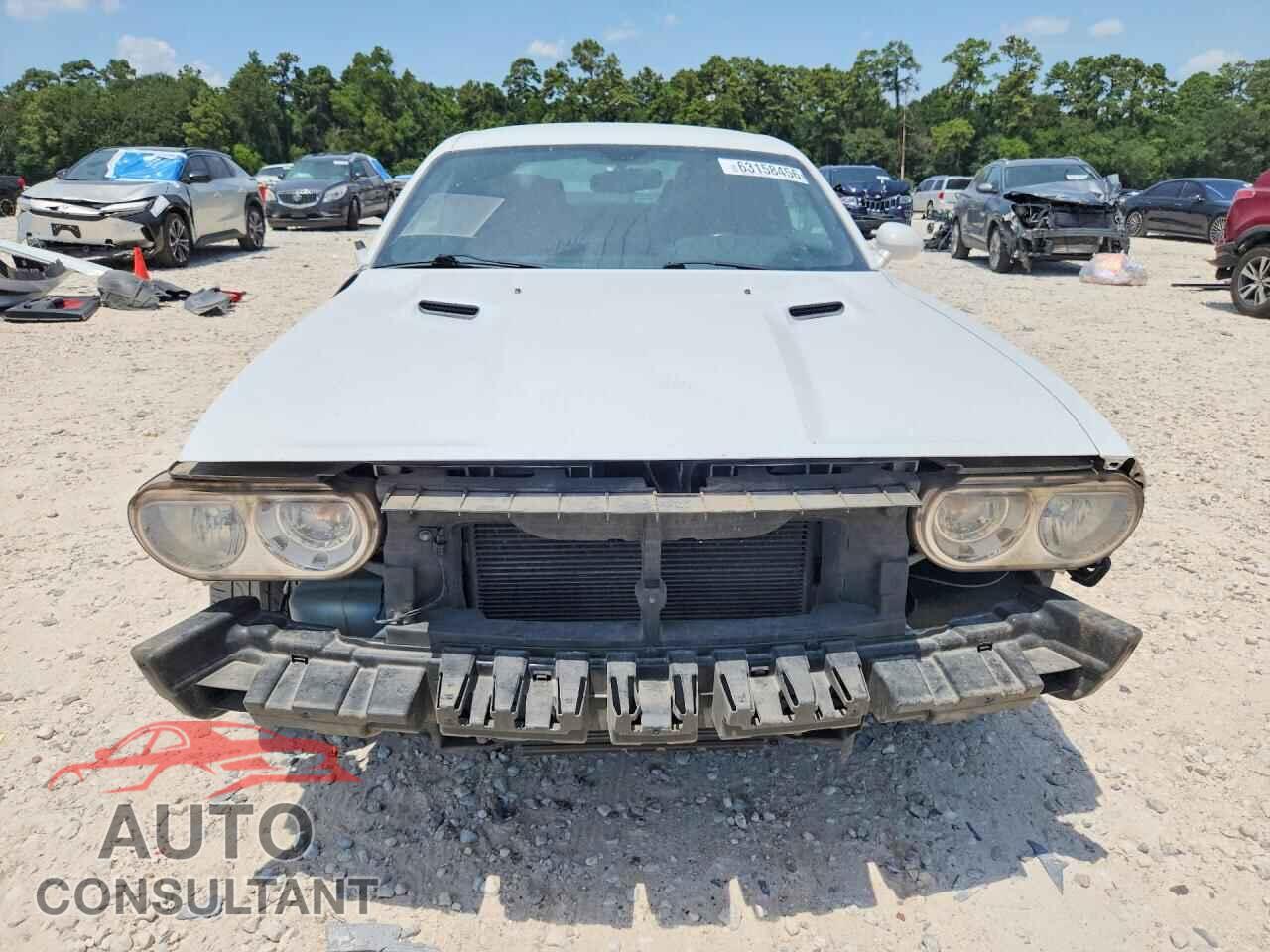 DODGE CHALLENGER 2013 - 2C3CDYAG9DH595495
