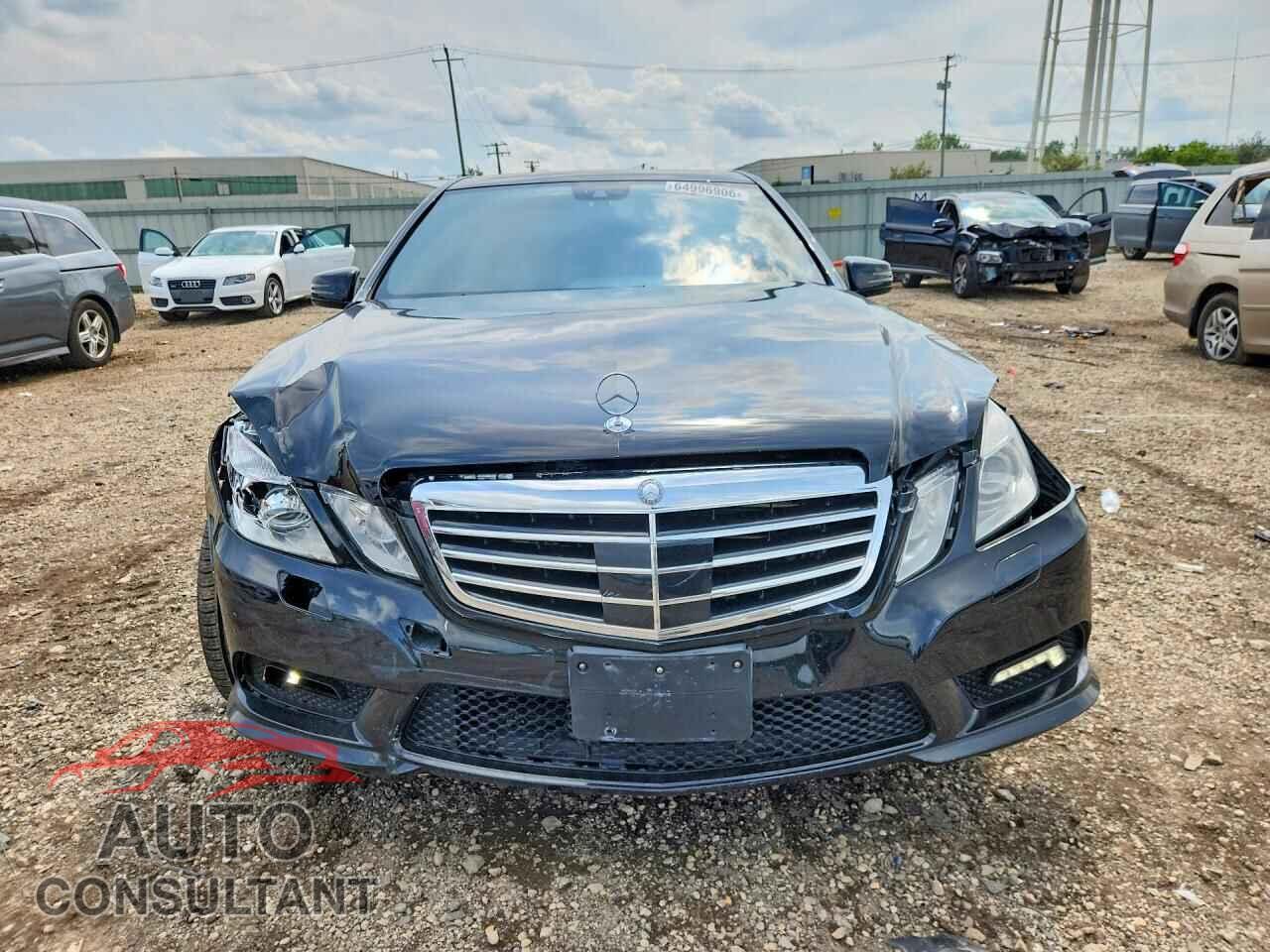 MERCEDES-BENZ E-CLASS 2010 - WDDHF9AB7AA169763