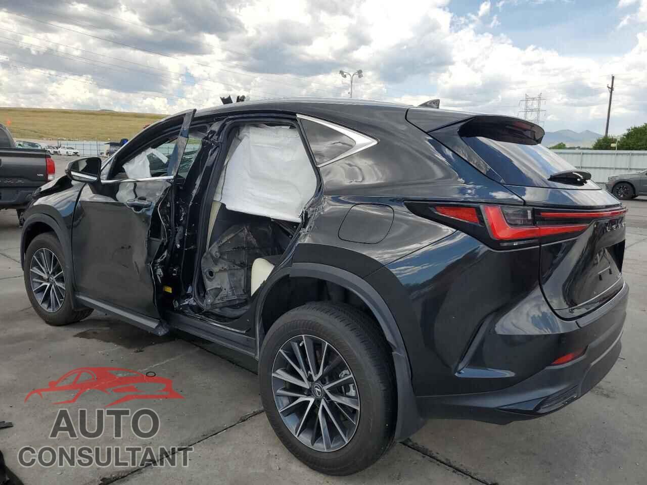 LEXUS NX 250 2023 - 2T2GDCAZ3PC005772