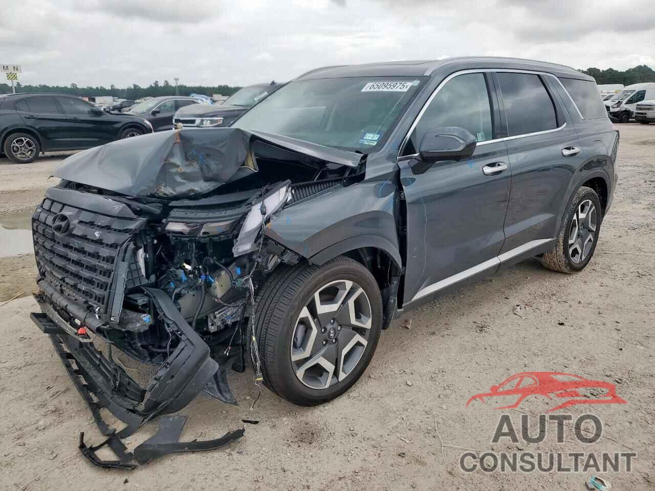 HYUNDAI PALISADE 2025 - KM8R44GE1SU881450