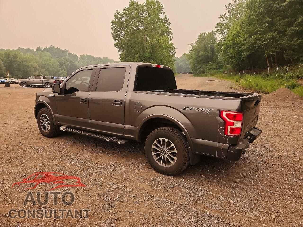 FORD F150 2020 - 1FTEW1EP2LFB92331