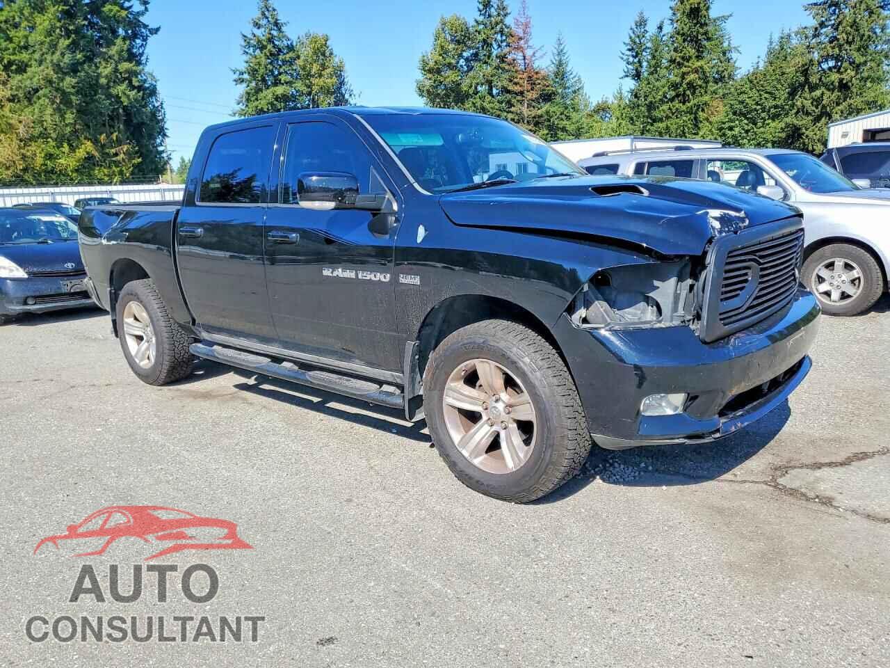 DODGE RAM 1500 2012 - 1C6RD7MT2CS338329