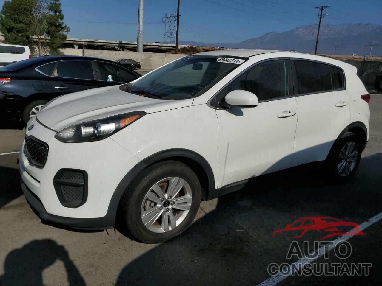 KIA SPORTAGE 2017 - KNDPM3AC1H7225933