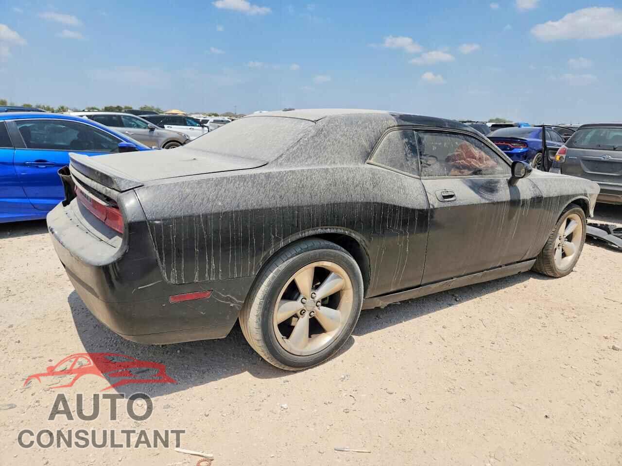 DODGE CHALLENGER 2010 - 2B3CJ4DV1AH278654