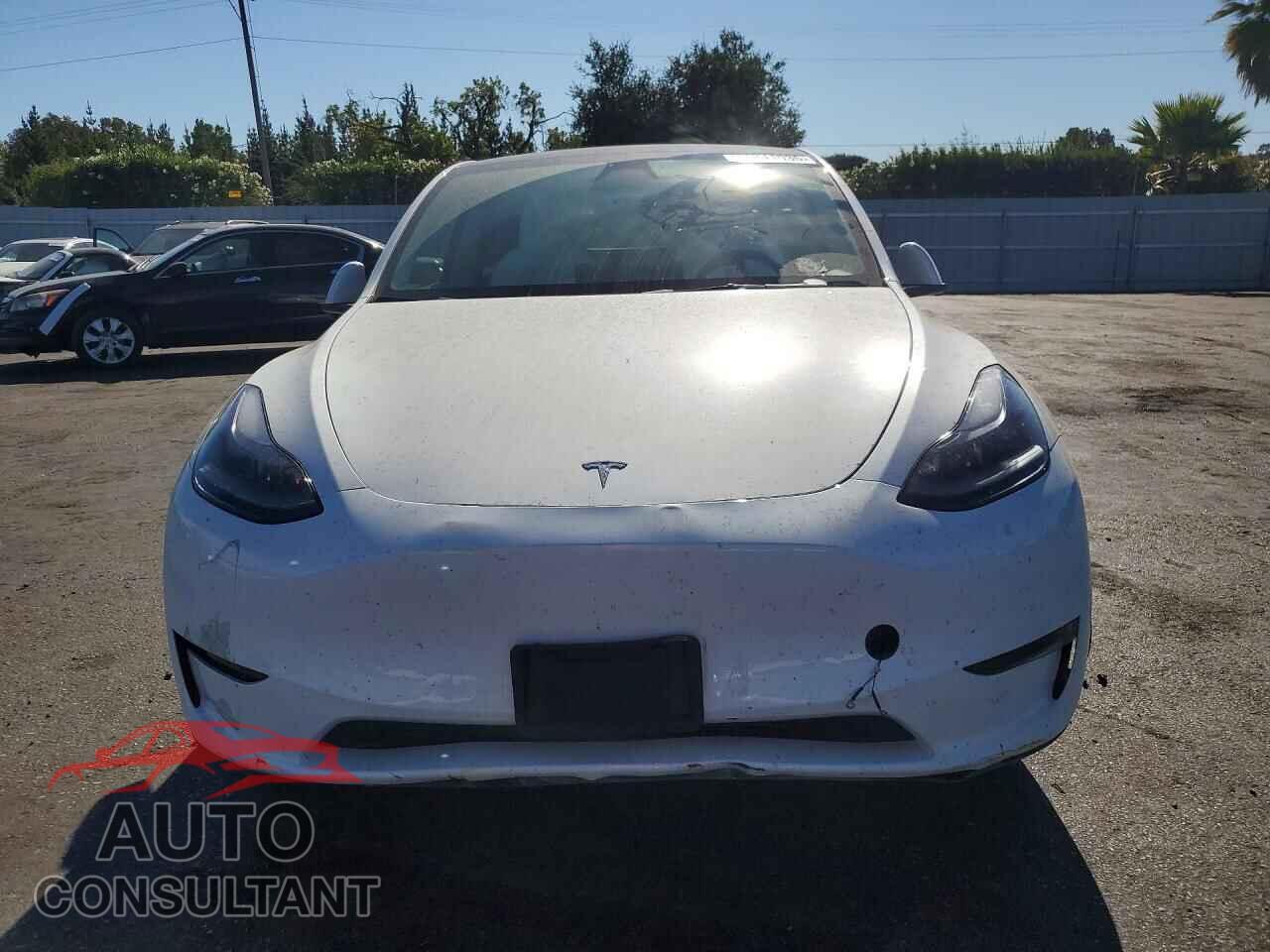 TESLA MODEL Y 2024 - 7SAYGDED0RF033308