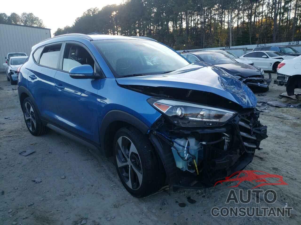 HYUNDAI TUCSON 2017 - KM8J33A2XHU368991