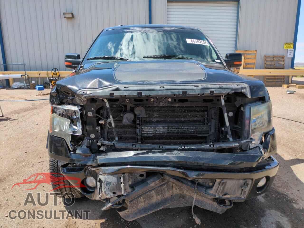 FORD F-150 2013 - 1FTFW1EF3DFD58935