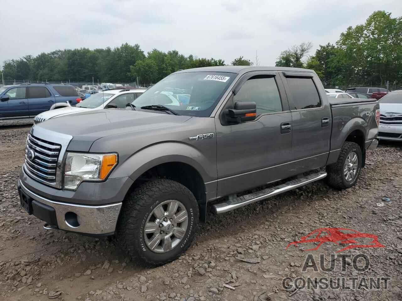 FORD F-150 2010 - 1FTEW1E8XAFD60481