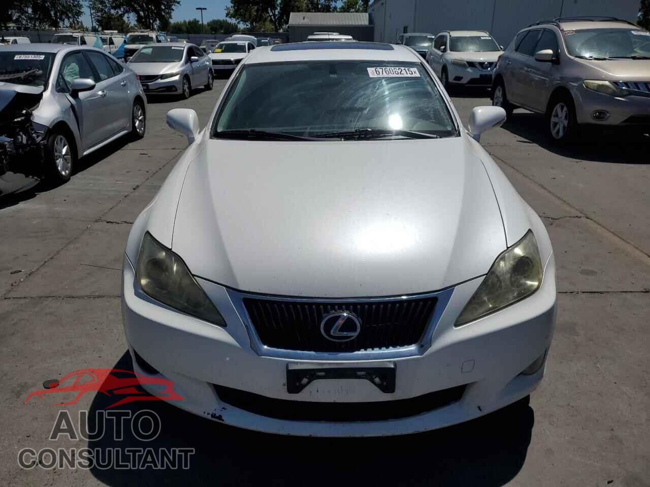 LEXUS IS 2009 - JTHBK262095098257