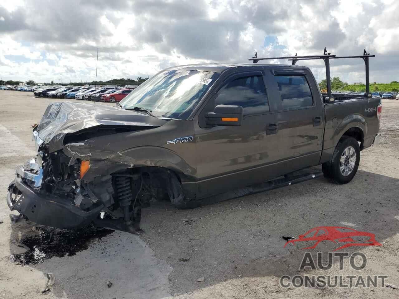 FORD F-150 2009 - 1FTRW14879FA44471