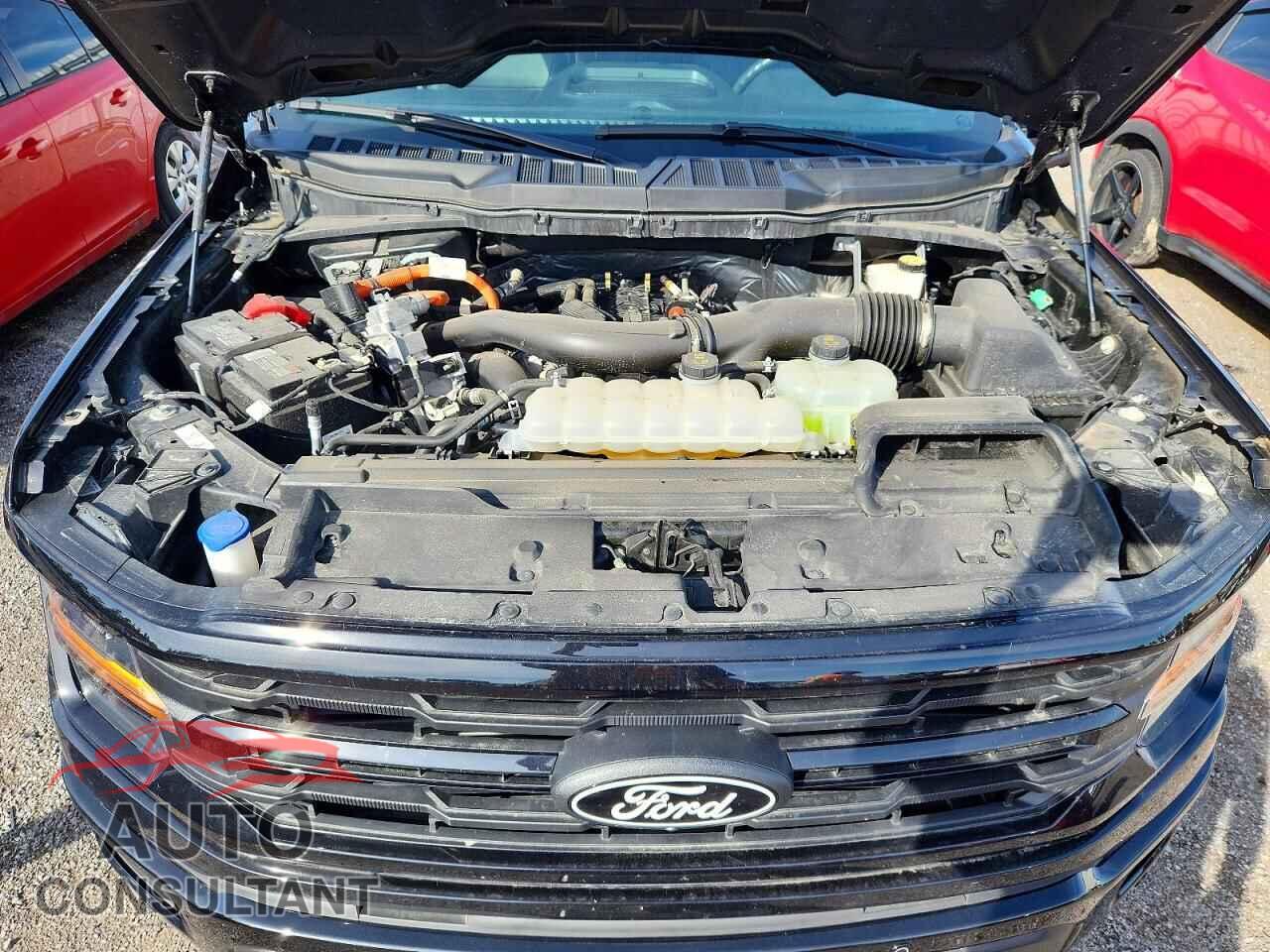 FORD F150 2024 - 1FTFW3LD7RFB51856