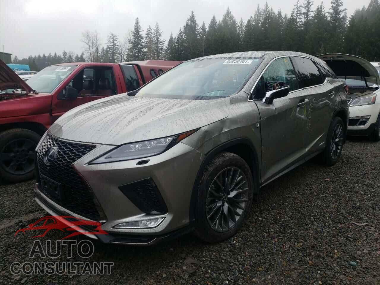 LEXUS RX450 2020 - 2T2SGMDA9LC045183