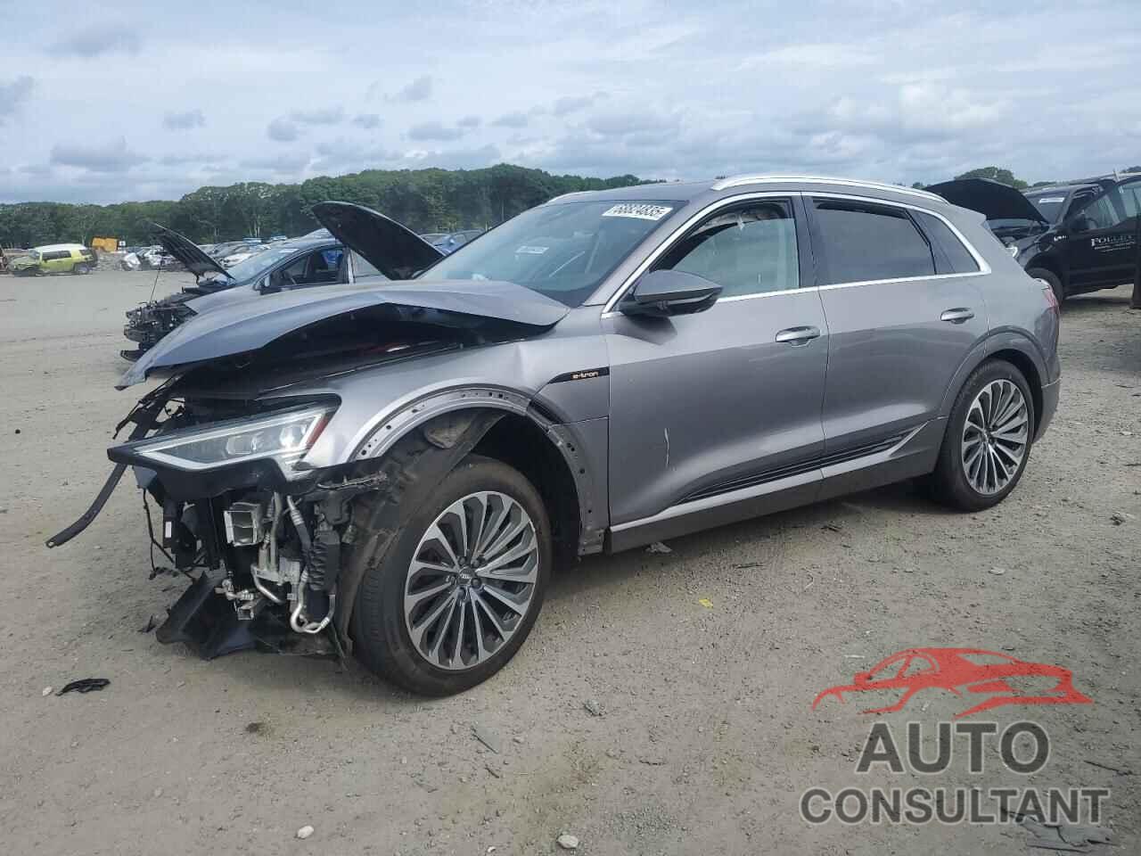 AUDI E-TRON 2019 - WA1VAAGE4KB005603