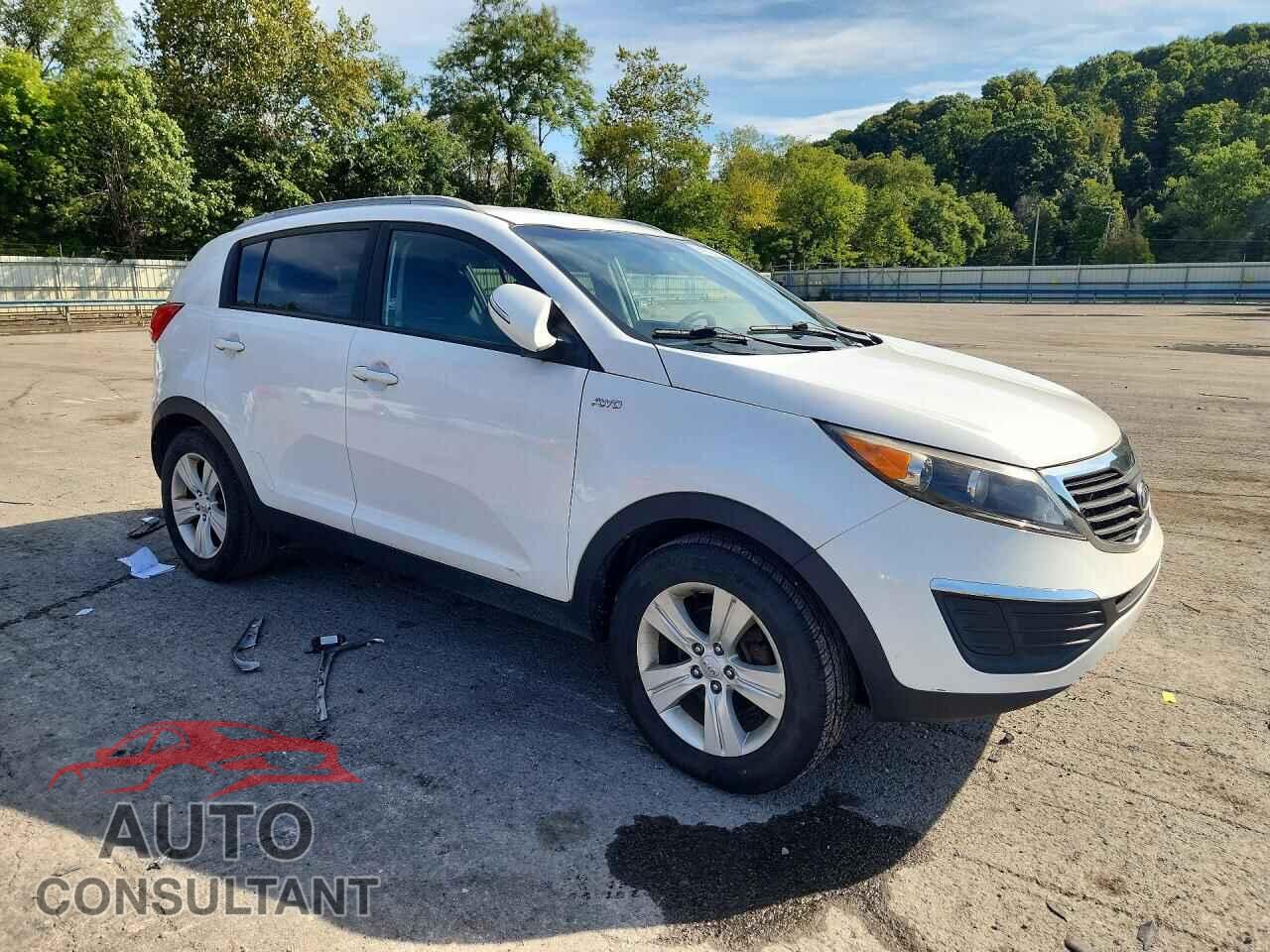 KIA SPORTAGE 2011 - KNDPBCA29B7163928
